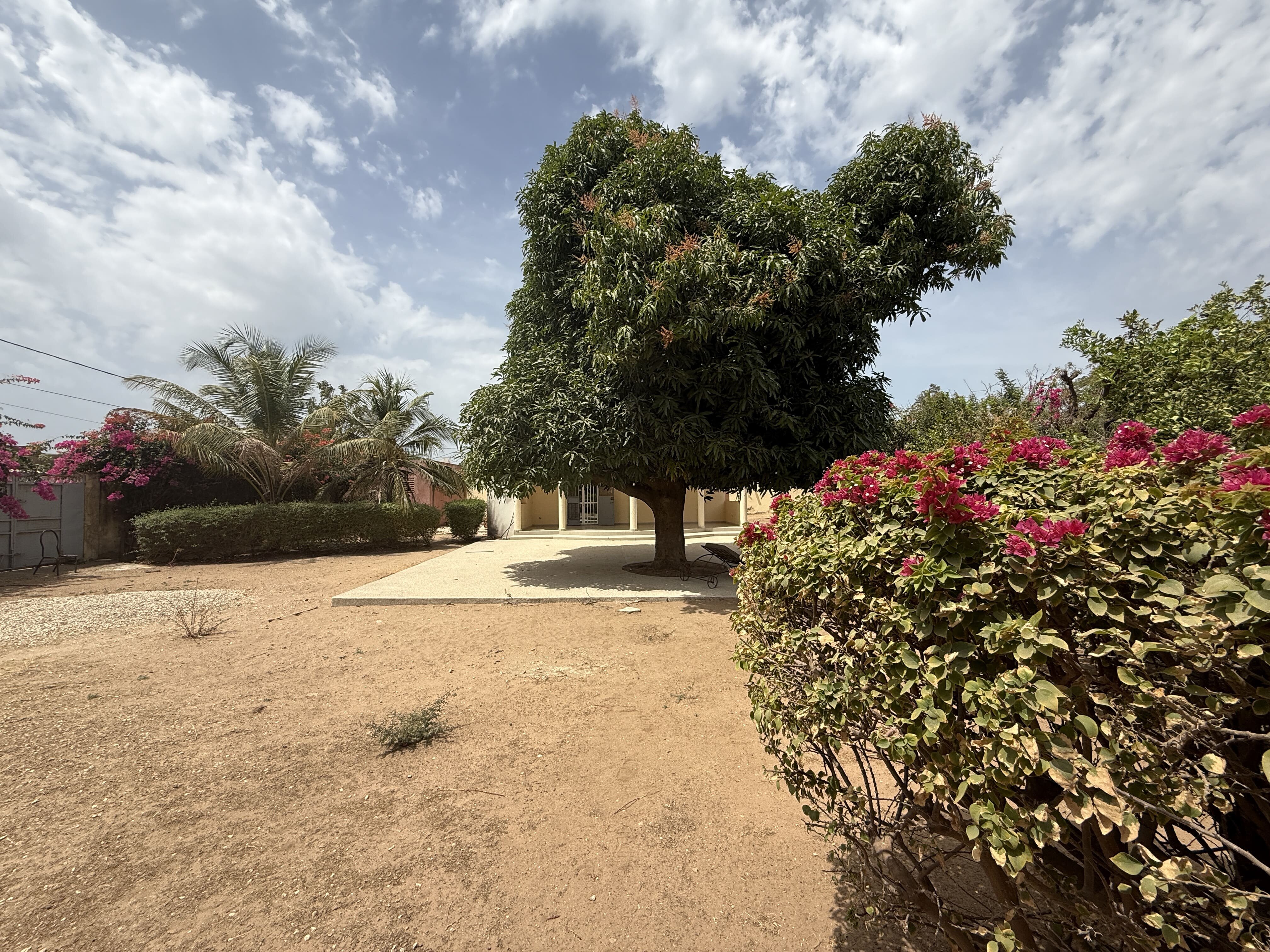 villa de plain-pied à vendre à nianing sur un terrain de 1292 m².