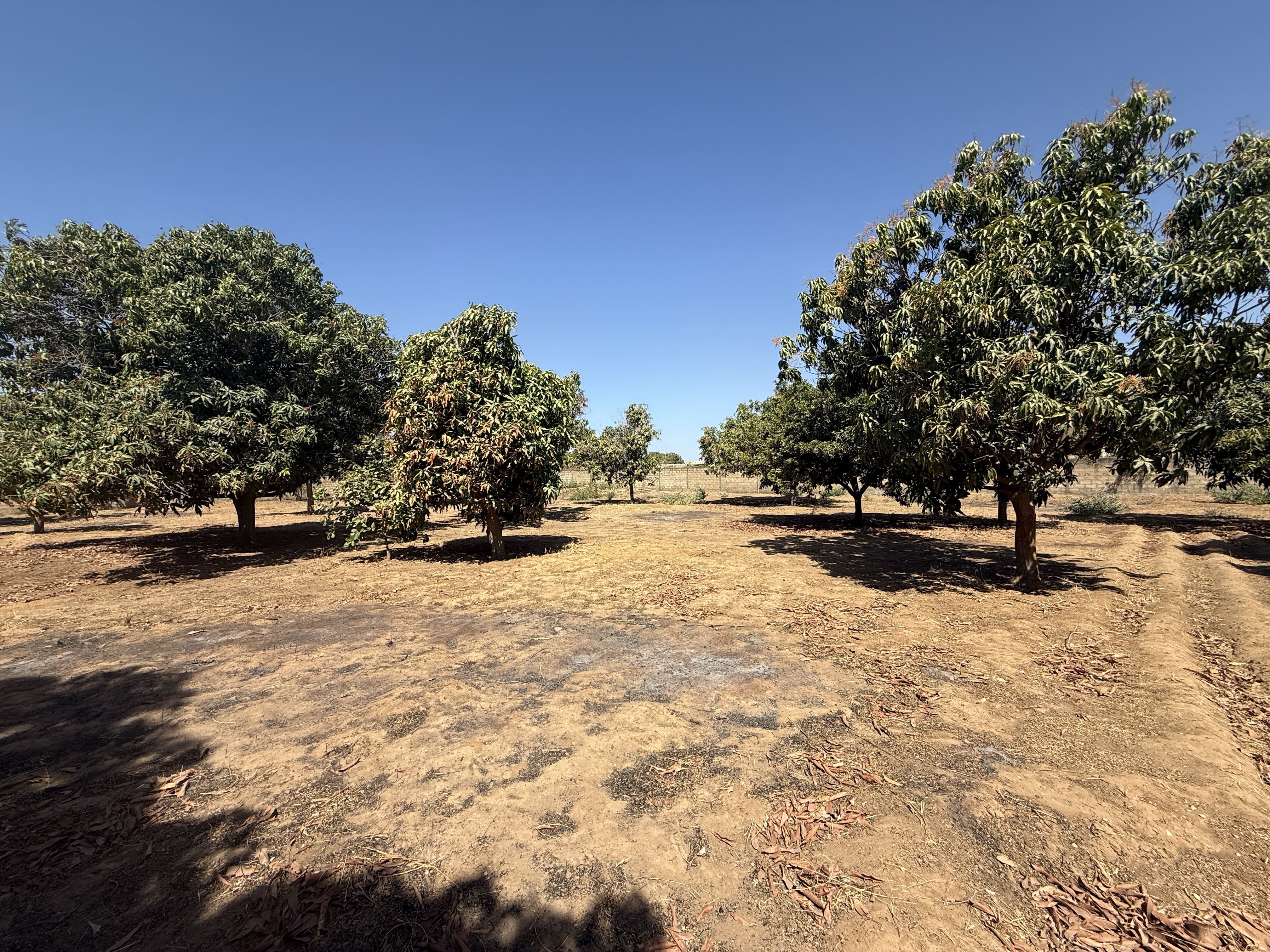 Terrain à vendre à Gandigal - 4996 m² de terrain 