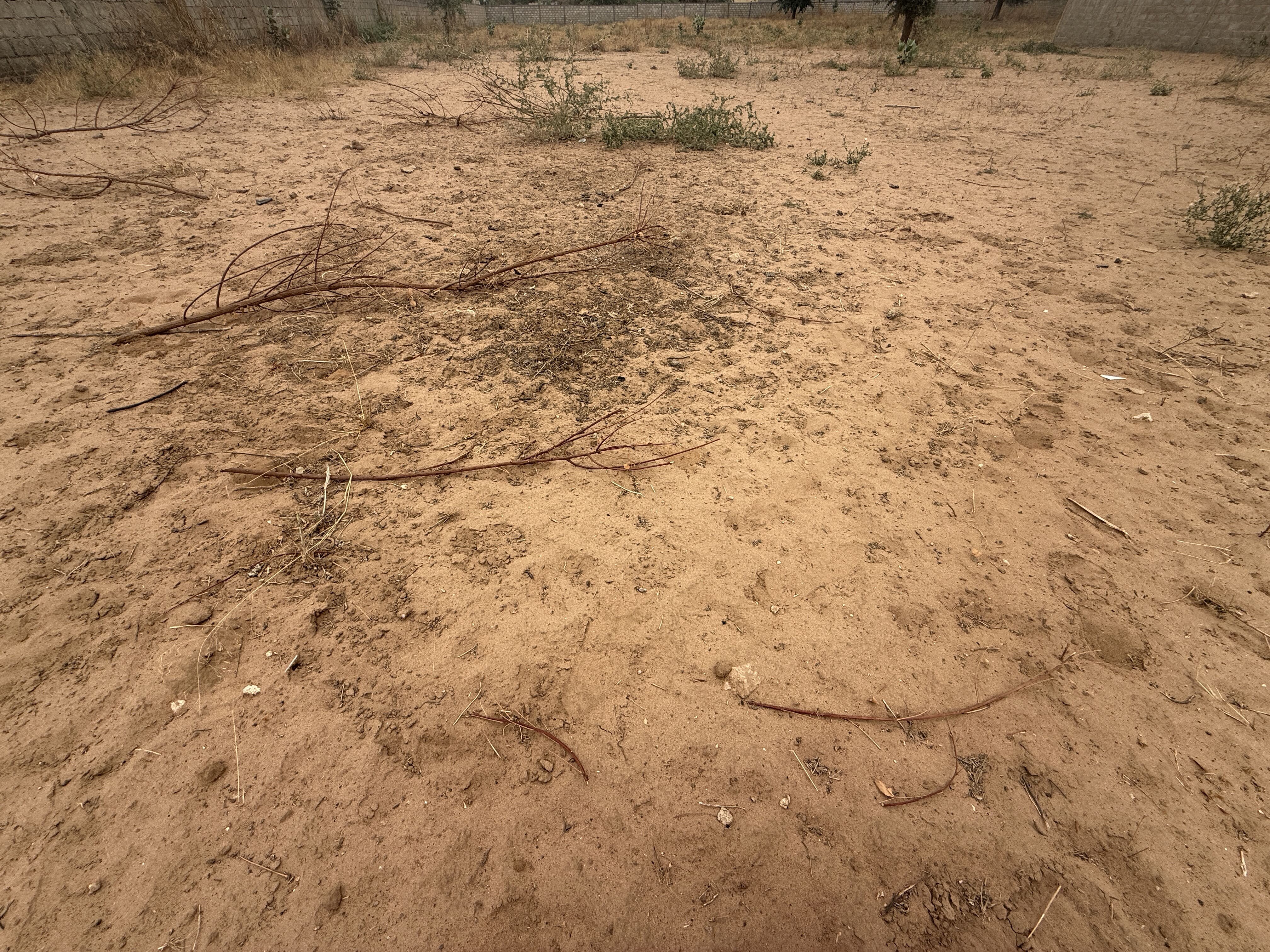 terrain de 6 016m2 à vendre ,à nguékhokh pour promotion immobilière - secteur en plein essor 